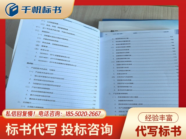 国网湖北省电力标书代写